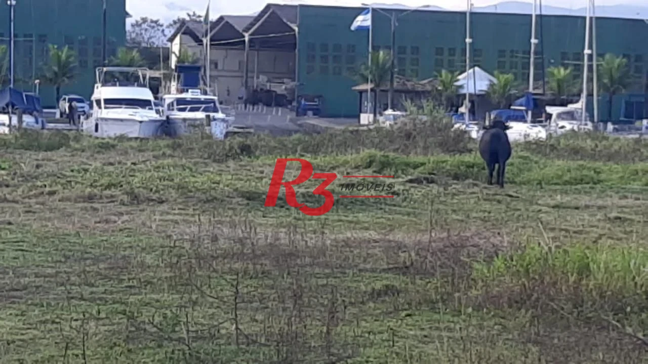 Terreno, 10000 m² - venda por R$ 9.900.000,00 ou aluguel por R$ 65.000,00/mês - Cing - Guarujá/SP