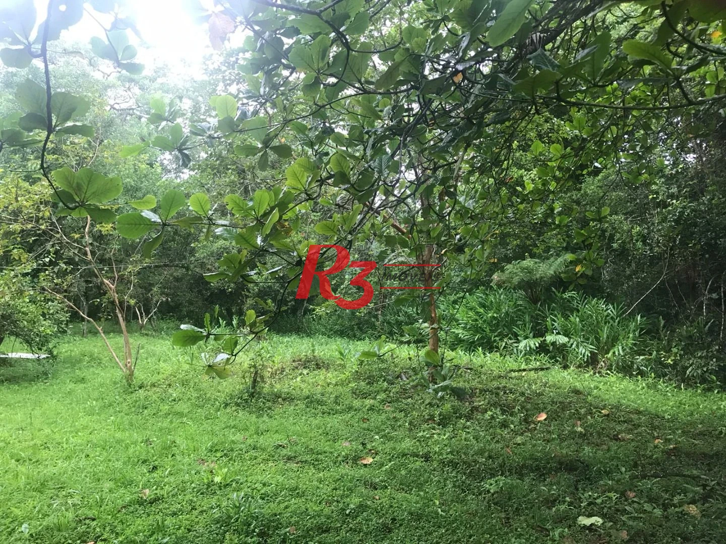 Área à venda, 20000 m² - Monte Cabrão - Santos/SP
