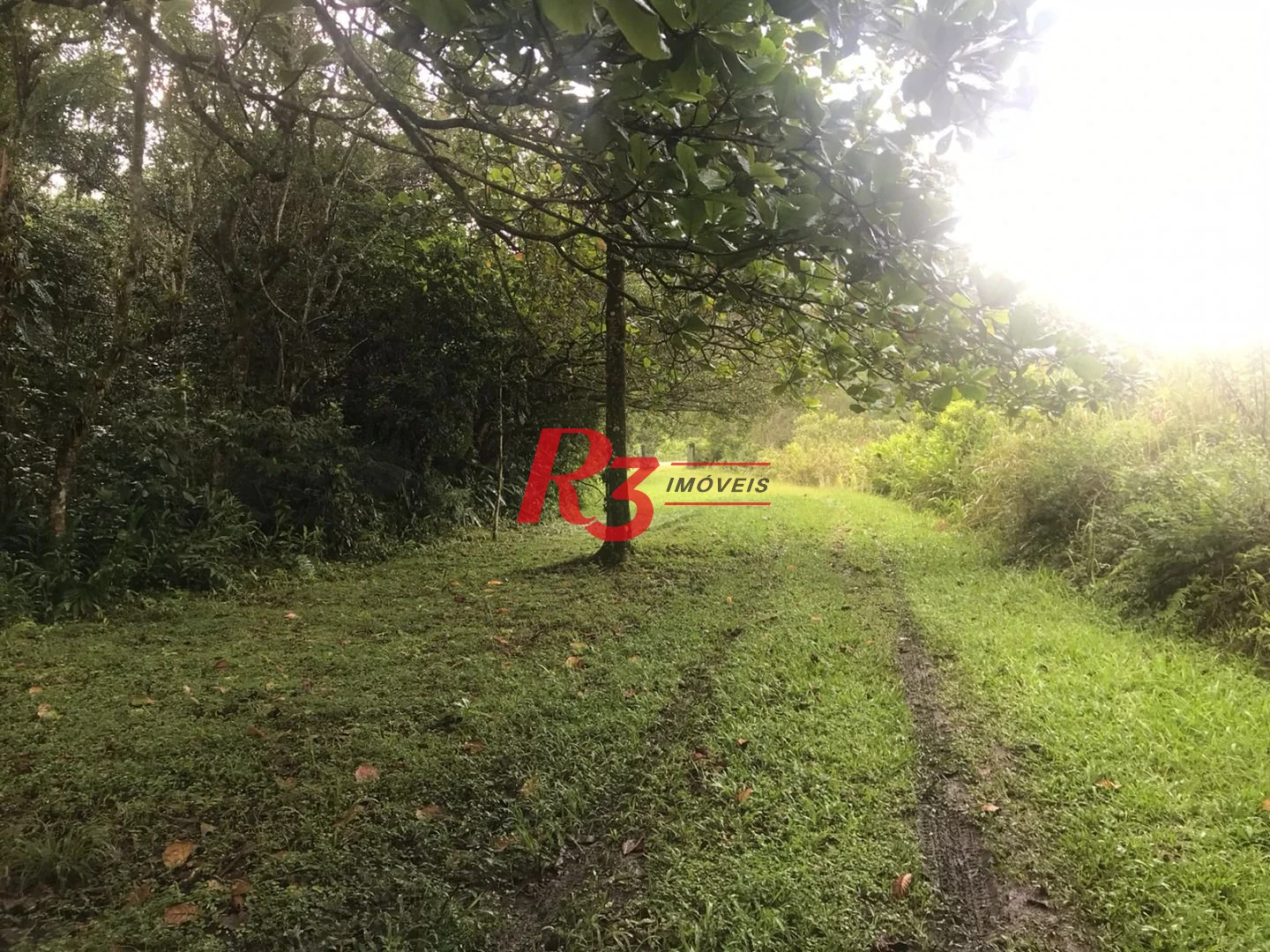 Área à venda, 20000 m² - Monte Cabrão - Santos/SP