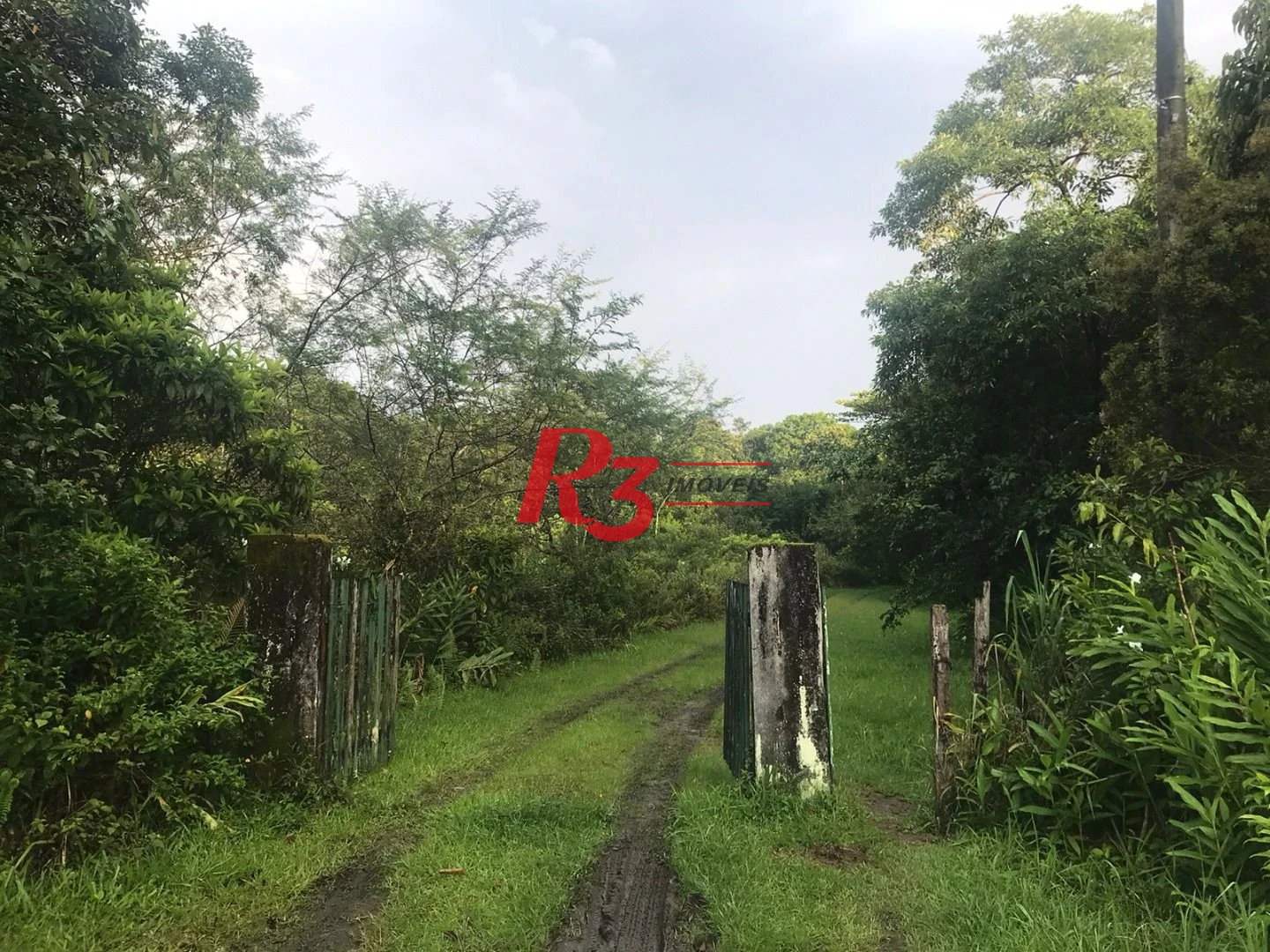 Área à venda, 20000 m² - Monte Cabrão - Santos/SP