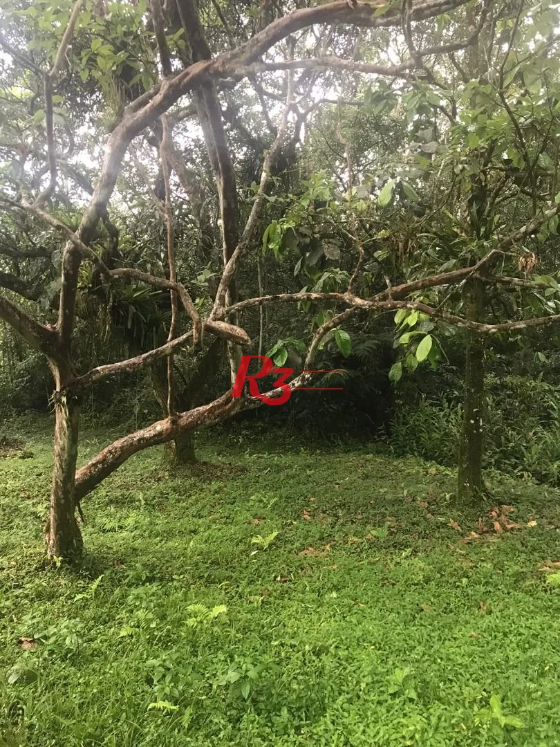 Área à venda, 20000 m² - Monte Cabrão - Santos/SP