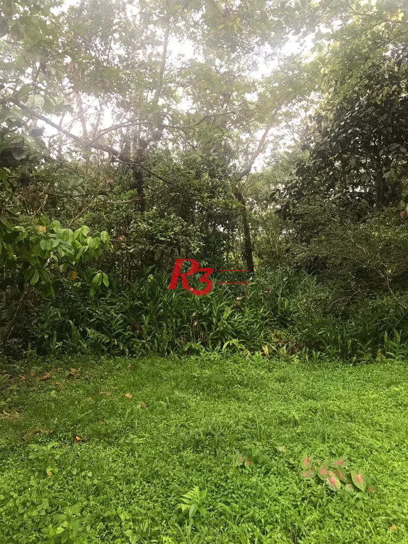 Área à venda, 20000 m² - Monte Cabrão - Santos/SP