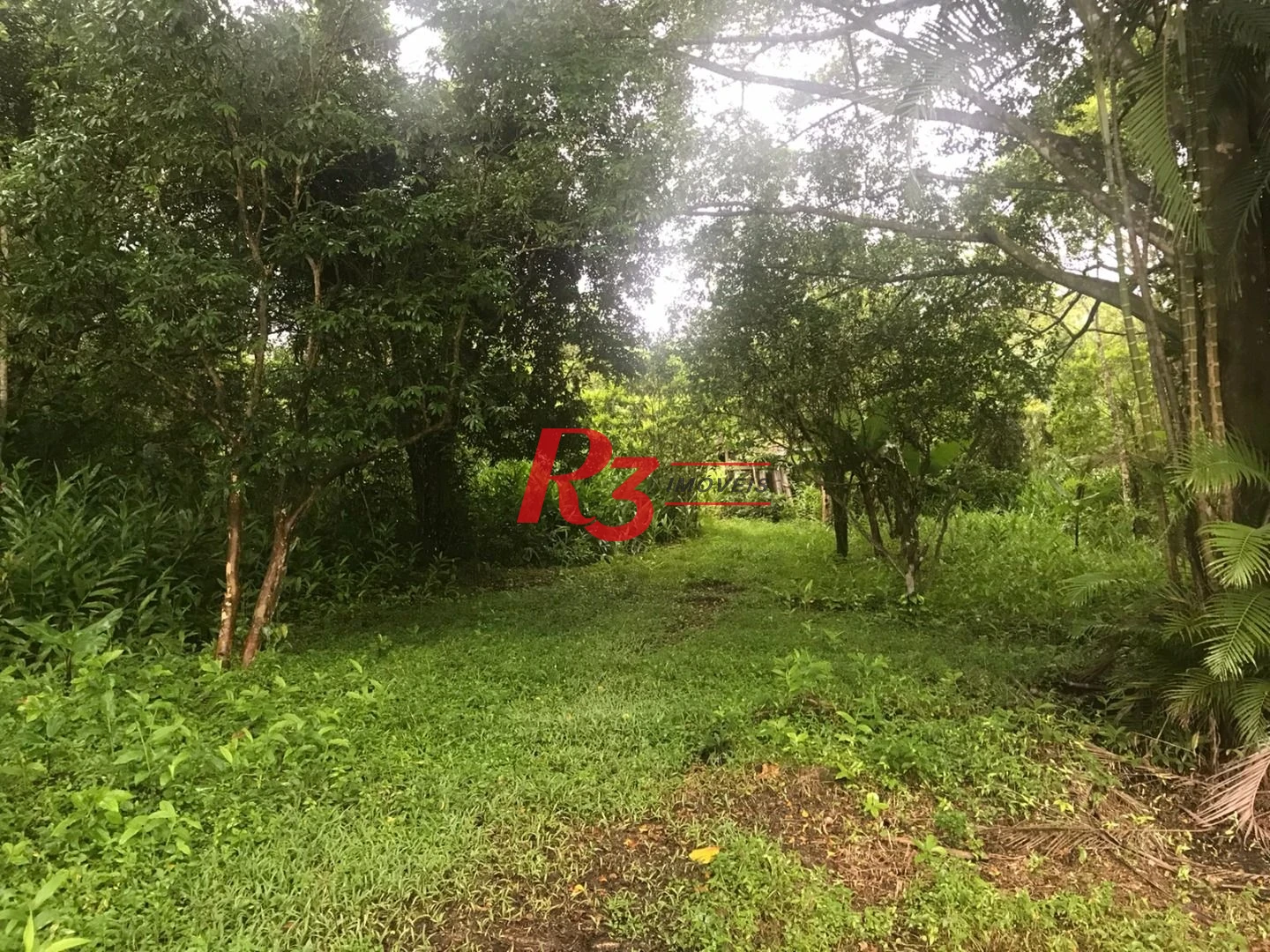 Área à venda, 20000 m² - Monte Cabrão - Santos/SP