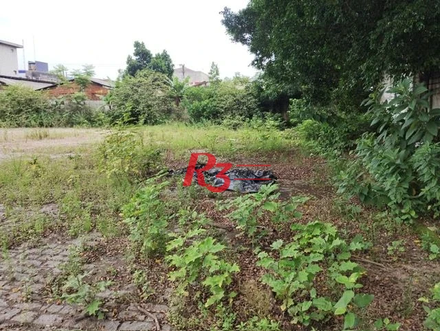 Terreno à venda, 3200 m² por R$ 5.000.000,00 - Vila Paulista - Cubatão/SP
