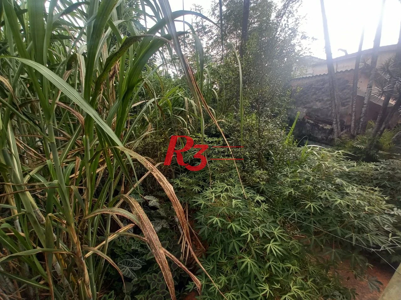 Terreno à venda, 500 m² por R$ 795.000,00 - Parque São Vicente - São Vicente/SP