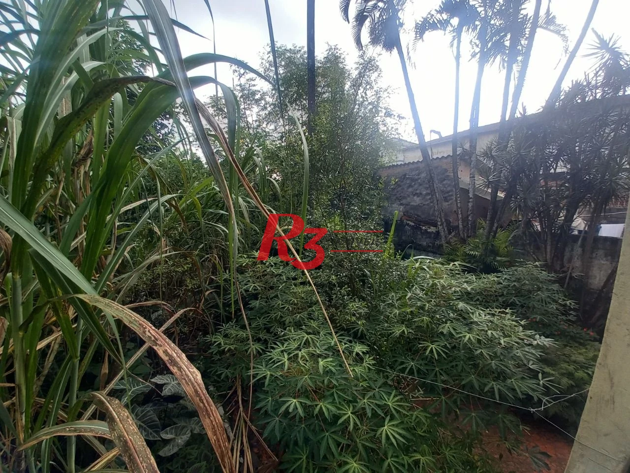 Terreno à venda, 500 m² por R$ 795.000,00 - Parque São Vicente - São Vicente/SP