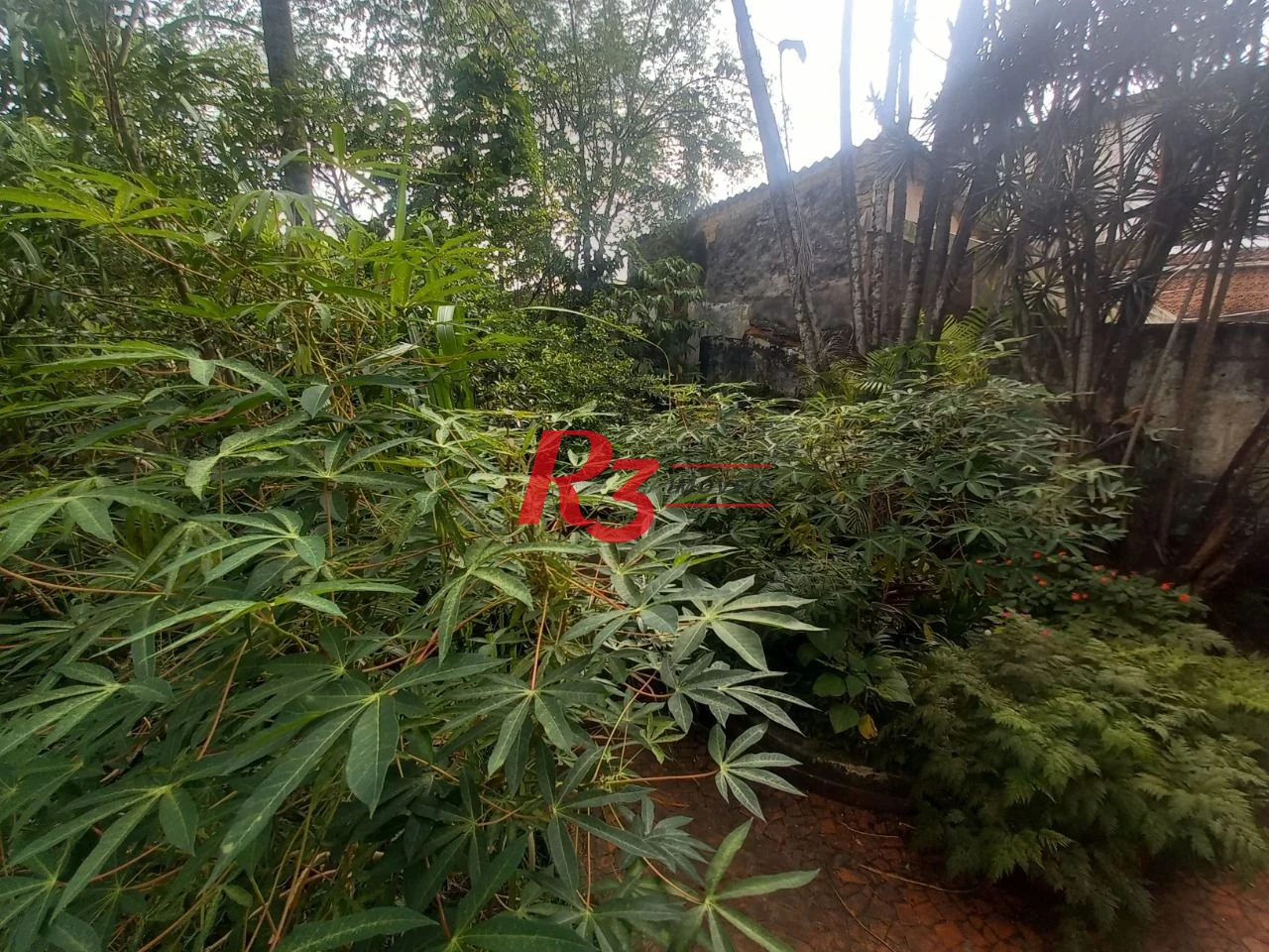 Terreno à venda, 500 m² por R$ 795.000,00 - Parque São Vicente - São Vicente/SP