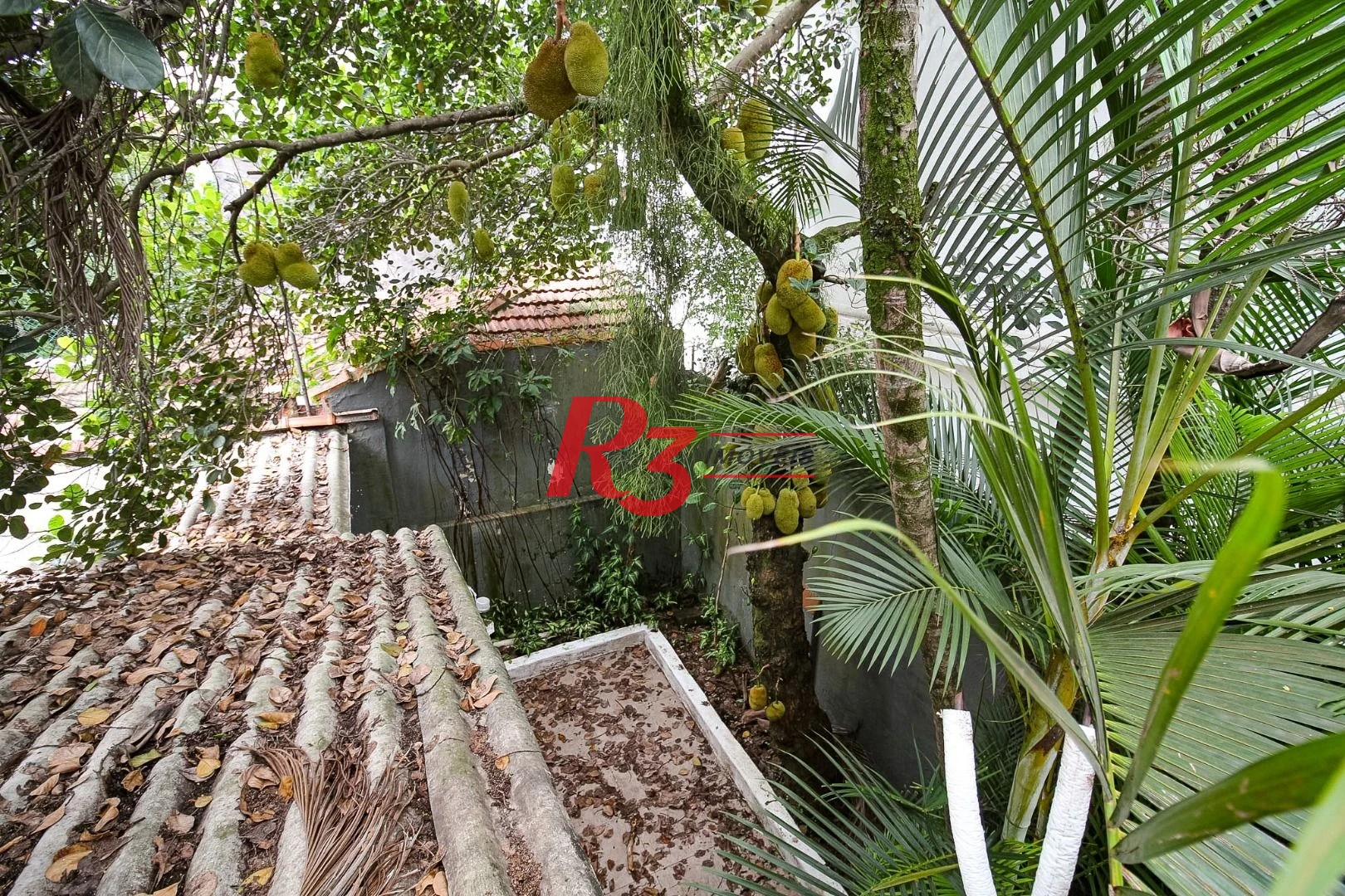 Sobrado, 300 m² - venda por R$ 2.700.000,00 ou aluguel por R$ 16.700,00/mês - Gonzaga - Santos/SP