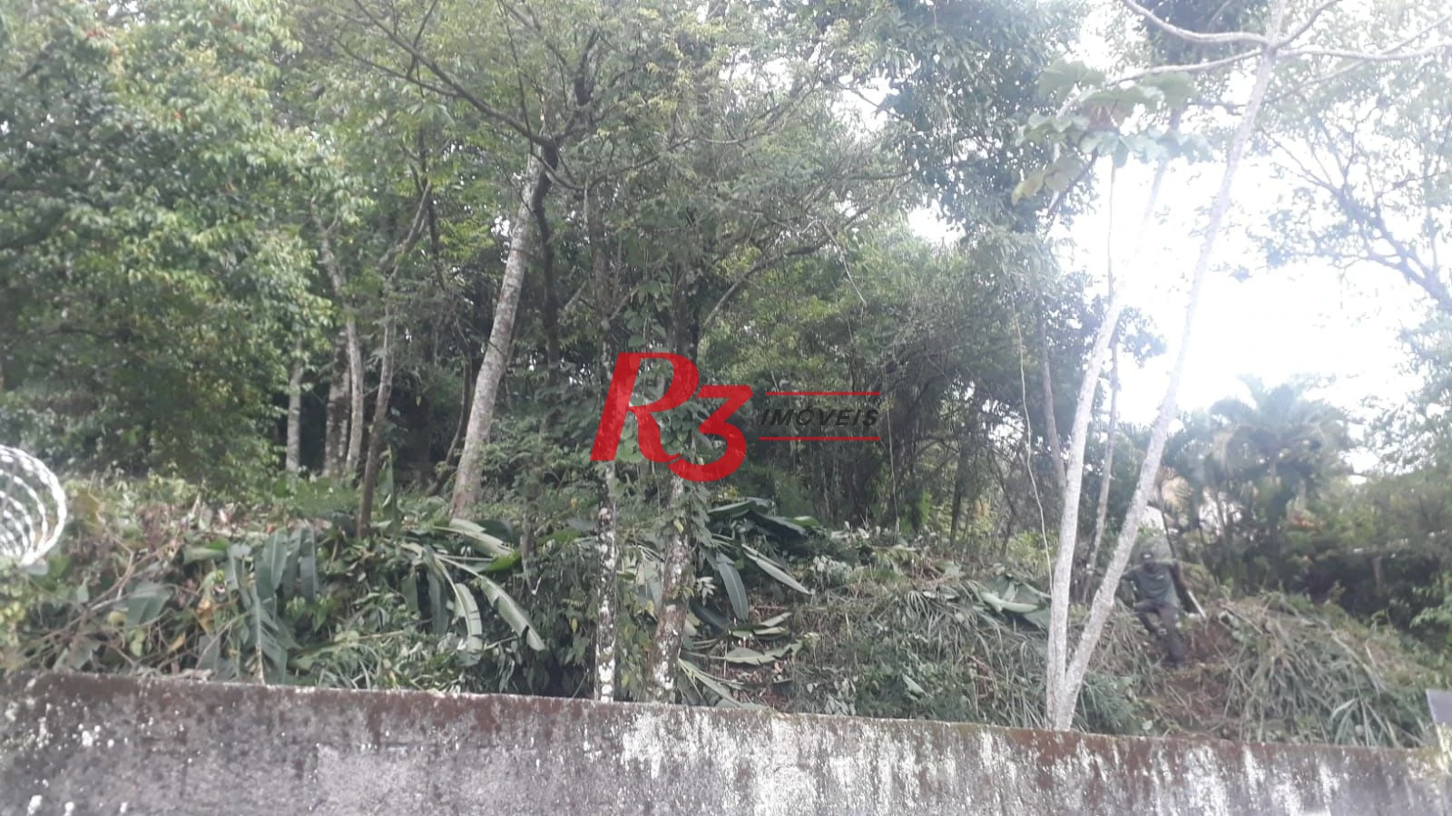 Terreno à venda, 588 m² por R$ 450.000,00 - Morro de Nova Cintra - Santos/SP