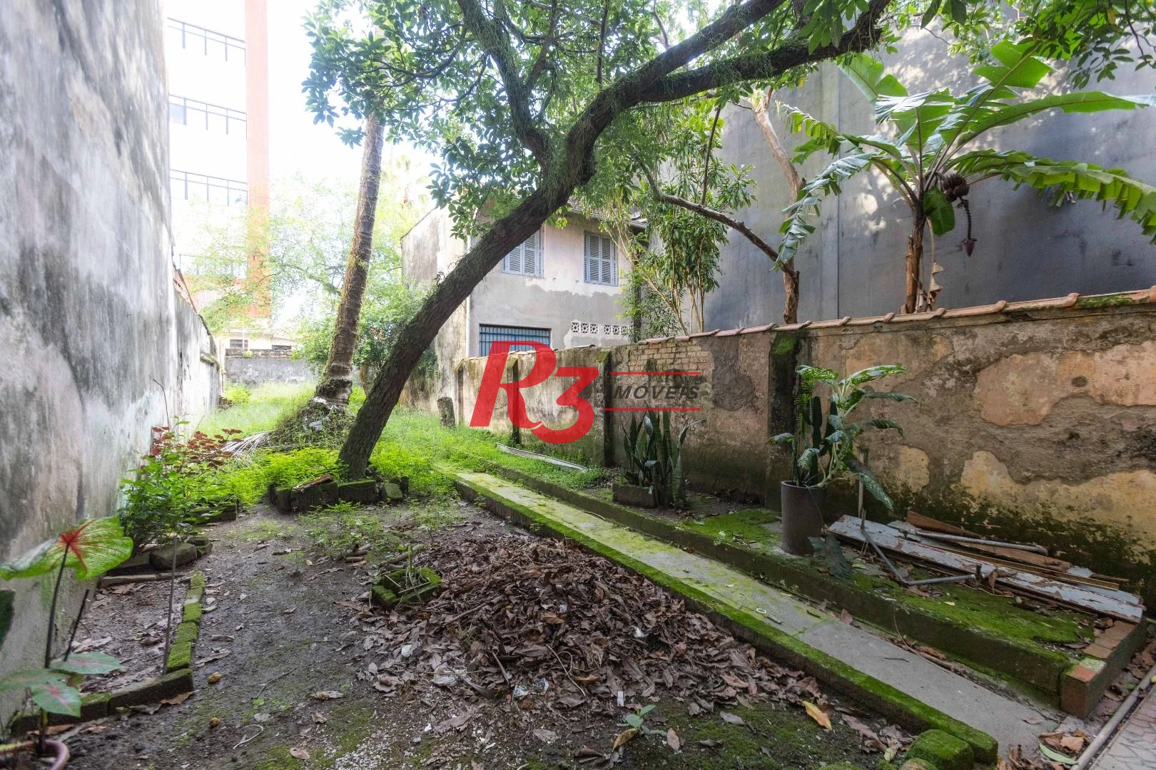 Loja para alugar, 275 m² por R$ 5.380,00/mês - Vila Mathias - Santos/SP