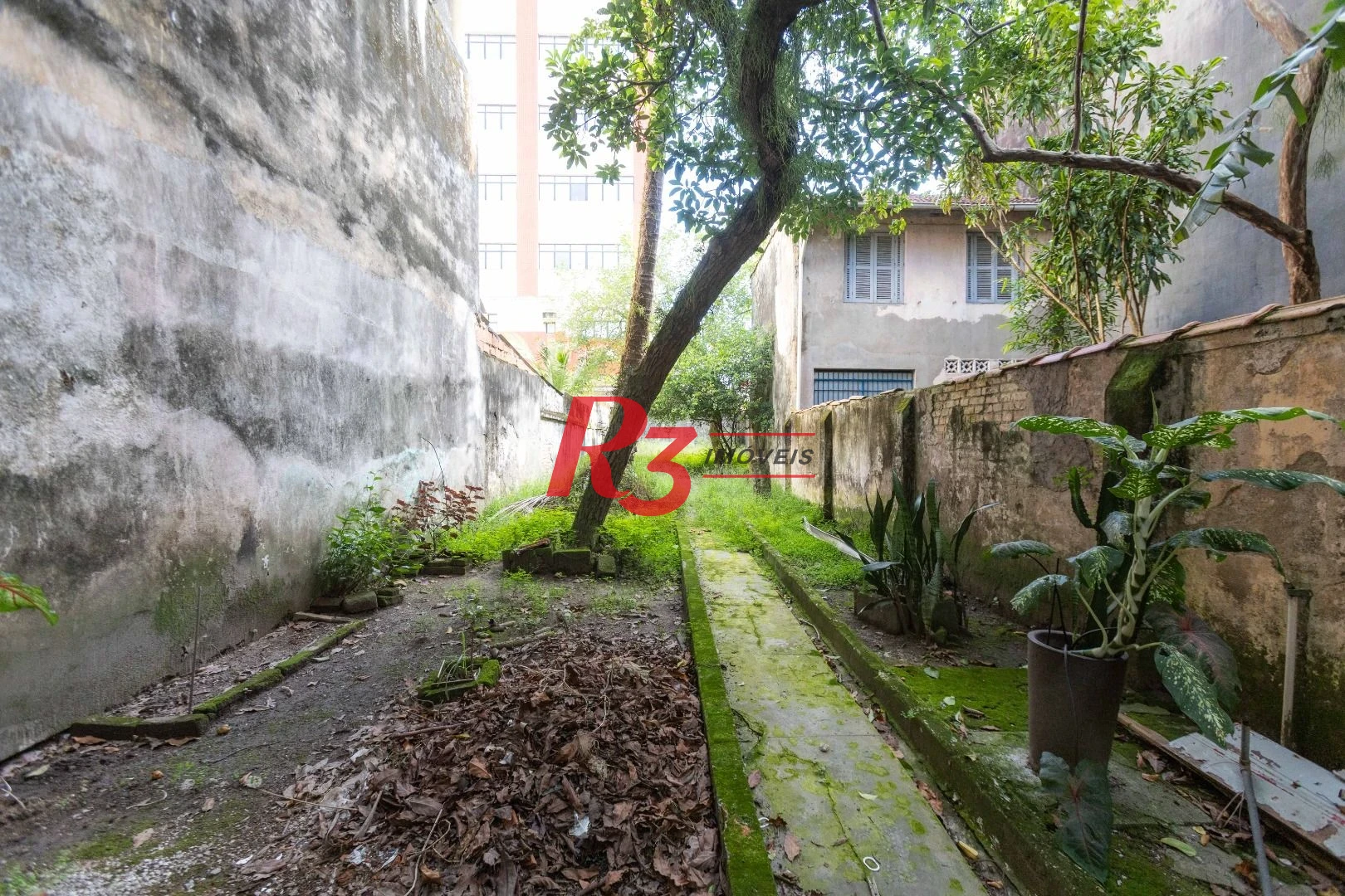Loja para alugar, 275 m² por R$ 5.380,00/mês - Vila Mathias - Santos/SP