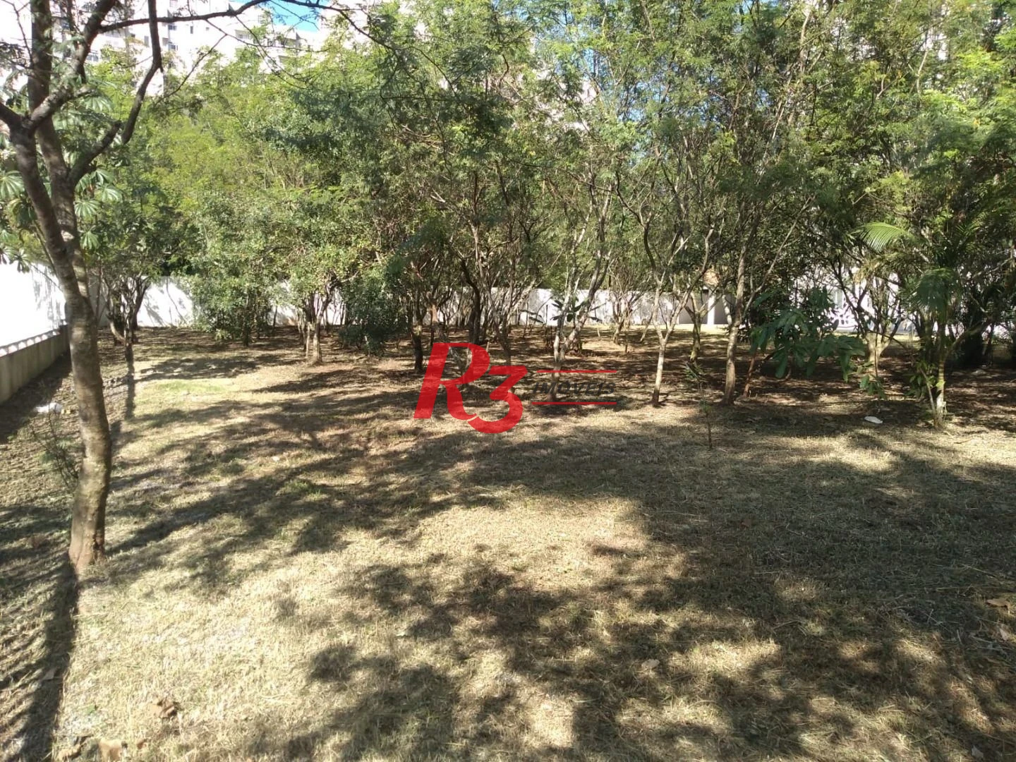 Apartamento com 2 dormitórios à venda, 52 m² por R$ 340.000,00 - Morro de Nova Cintra - Santos/SP