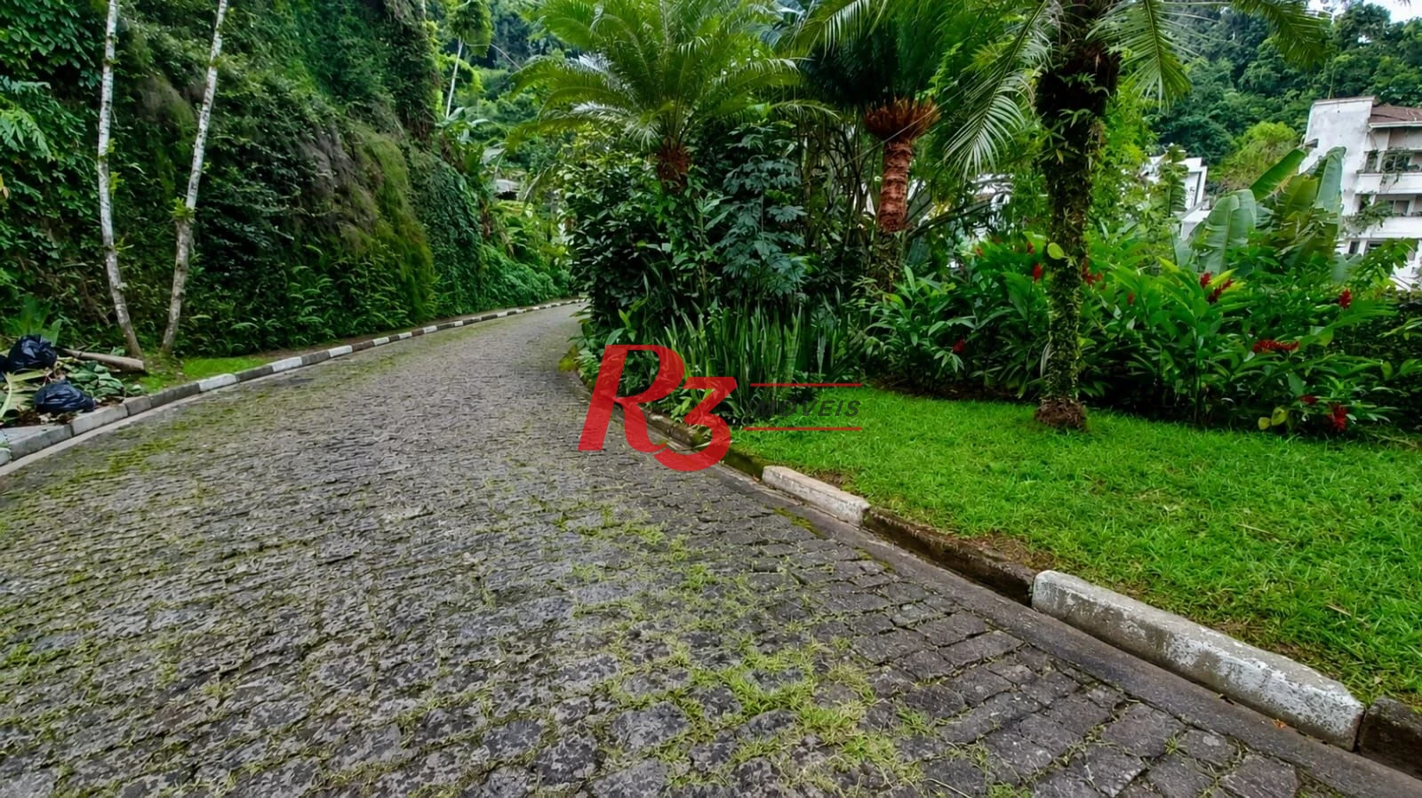 Terreno à venda, 805 m² por R$ 1.999.000,00 - Morro Santa Terezinha - Santos/SP