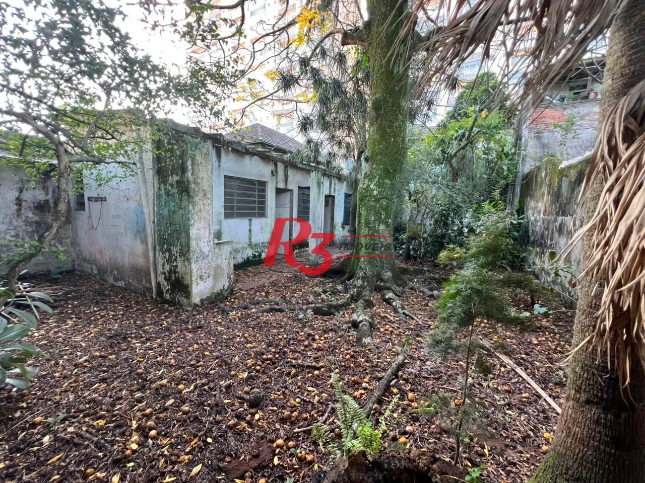 Sobrado com 3 dormitórios à venda, 226 m² por R$ 900.000,00 - Vila Matias - Santos/SP